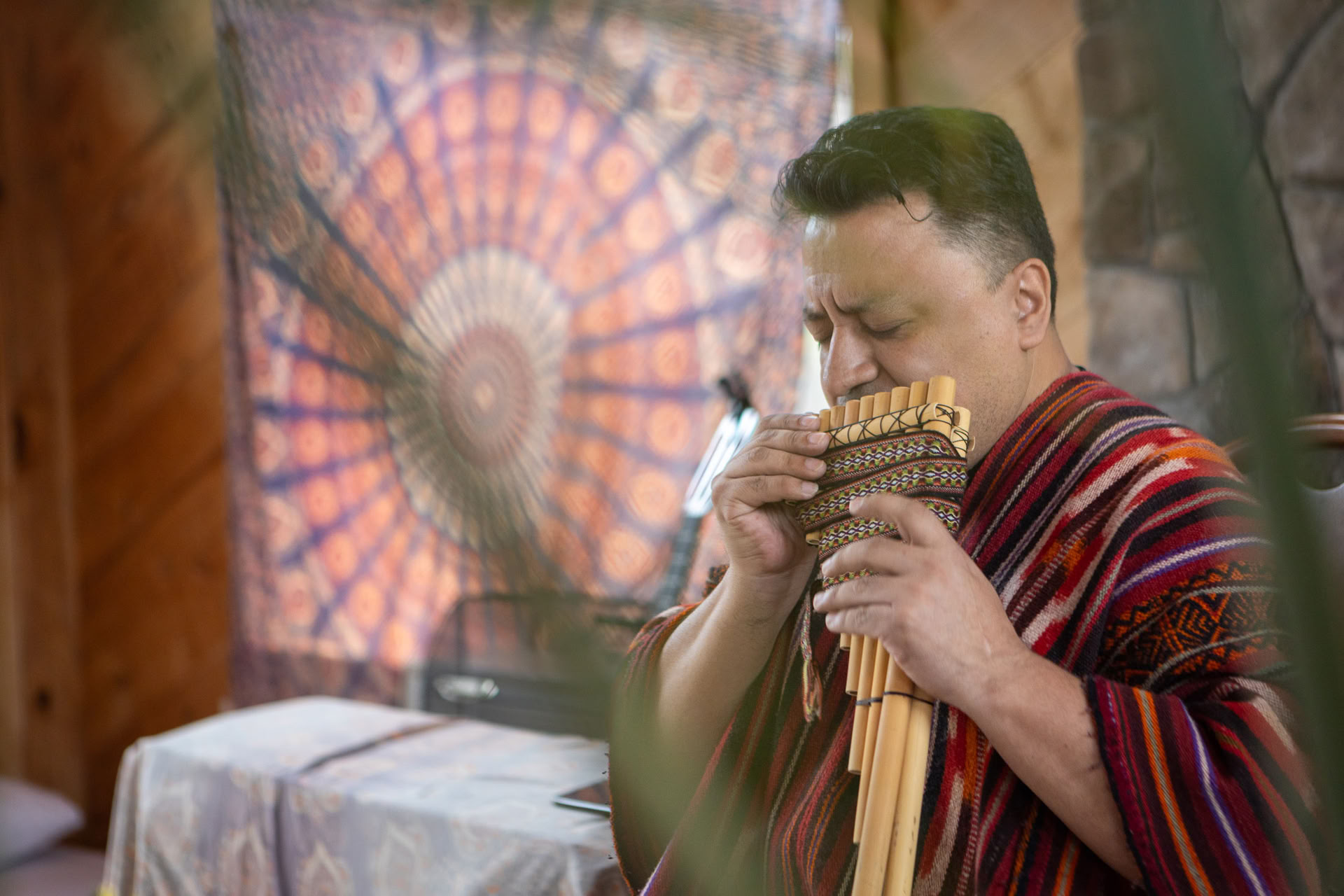Retiro sagrado de ayahuasca con Arkawa