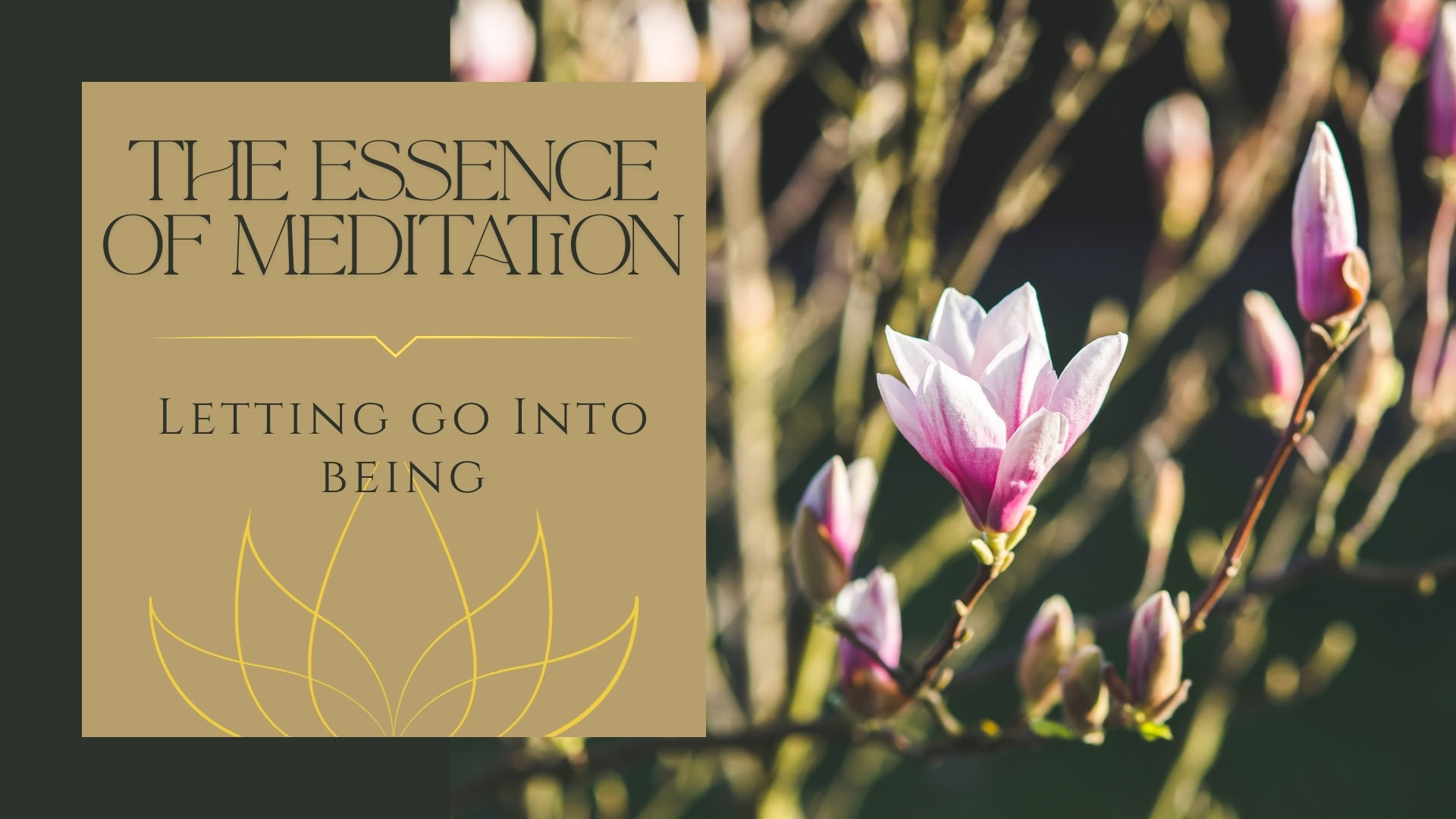 Shamatha Meditation – AM
