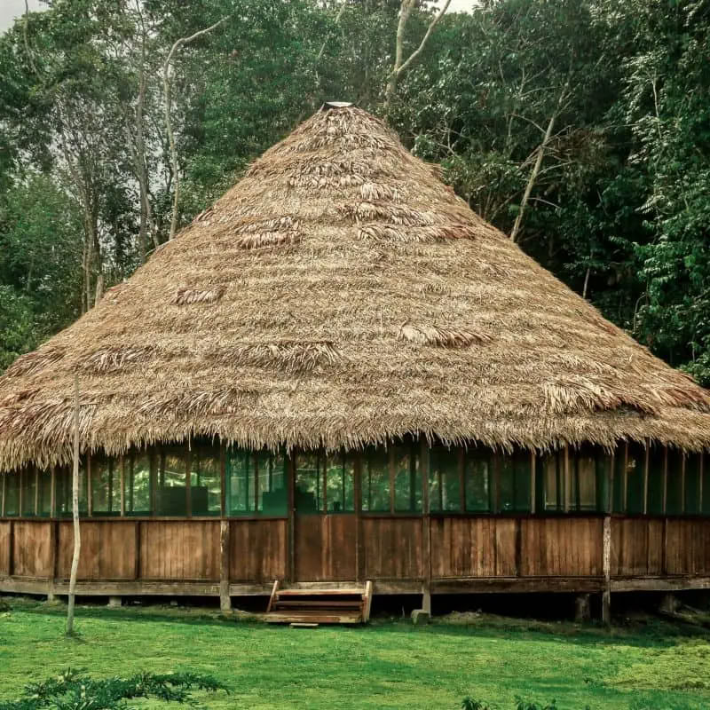 Retiro de Ayahuasca de Transformación