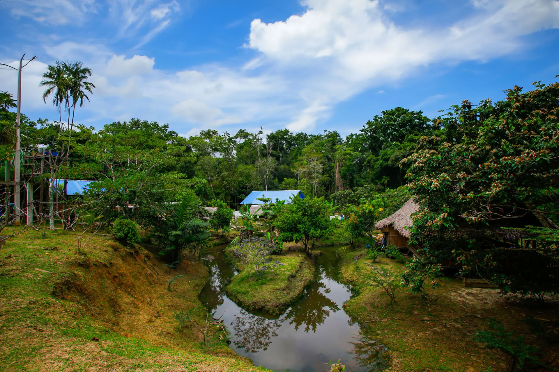 Retiro de Ayahuasca de Transformación