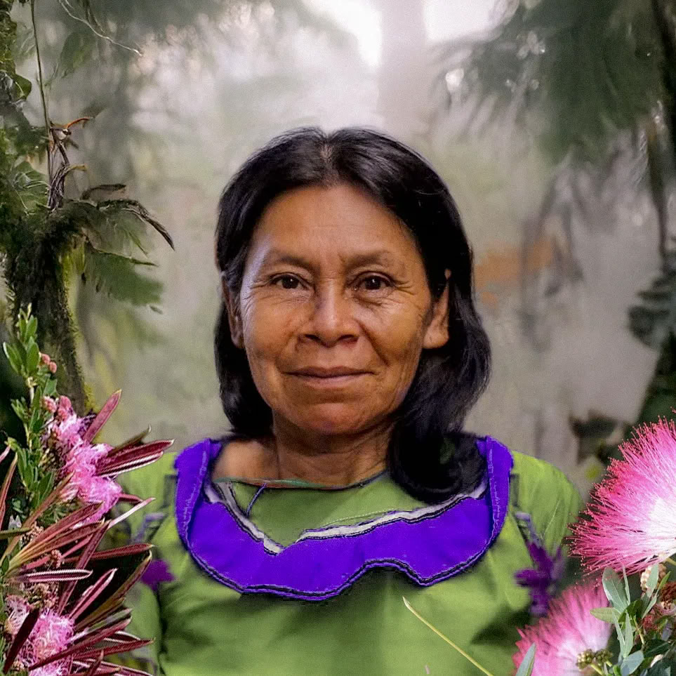 11 días Noya Rao Voz de la Luz Retiro en Perú – 4 - 14 de octubre de 2026 | Expresión Vocal y Conexión Espiritual