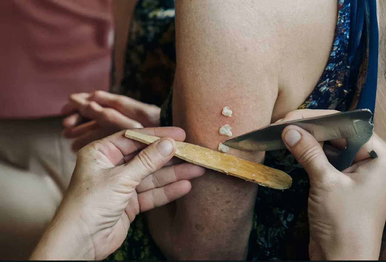 11 días Retiro de Ayahuasca en Perú – 12-22 de agosto de 2026 | Shipibo Healing & Integration