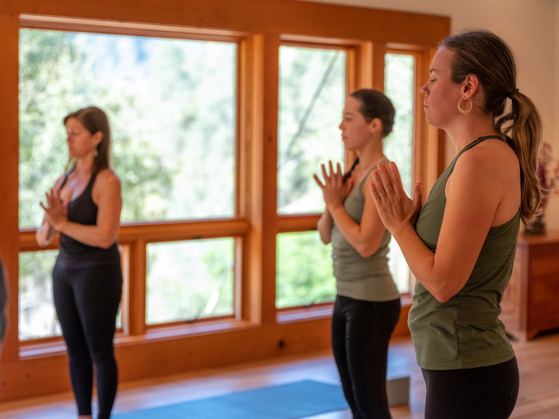Raíces de Resiliencia: Yoga y El Trabajo Que Reconecta