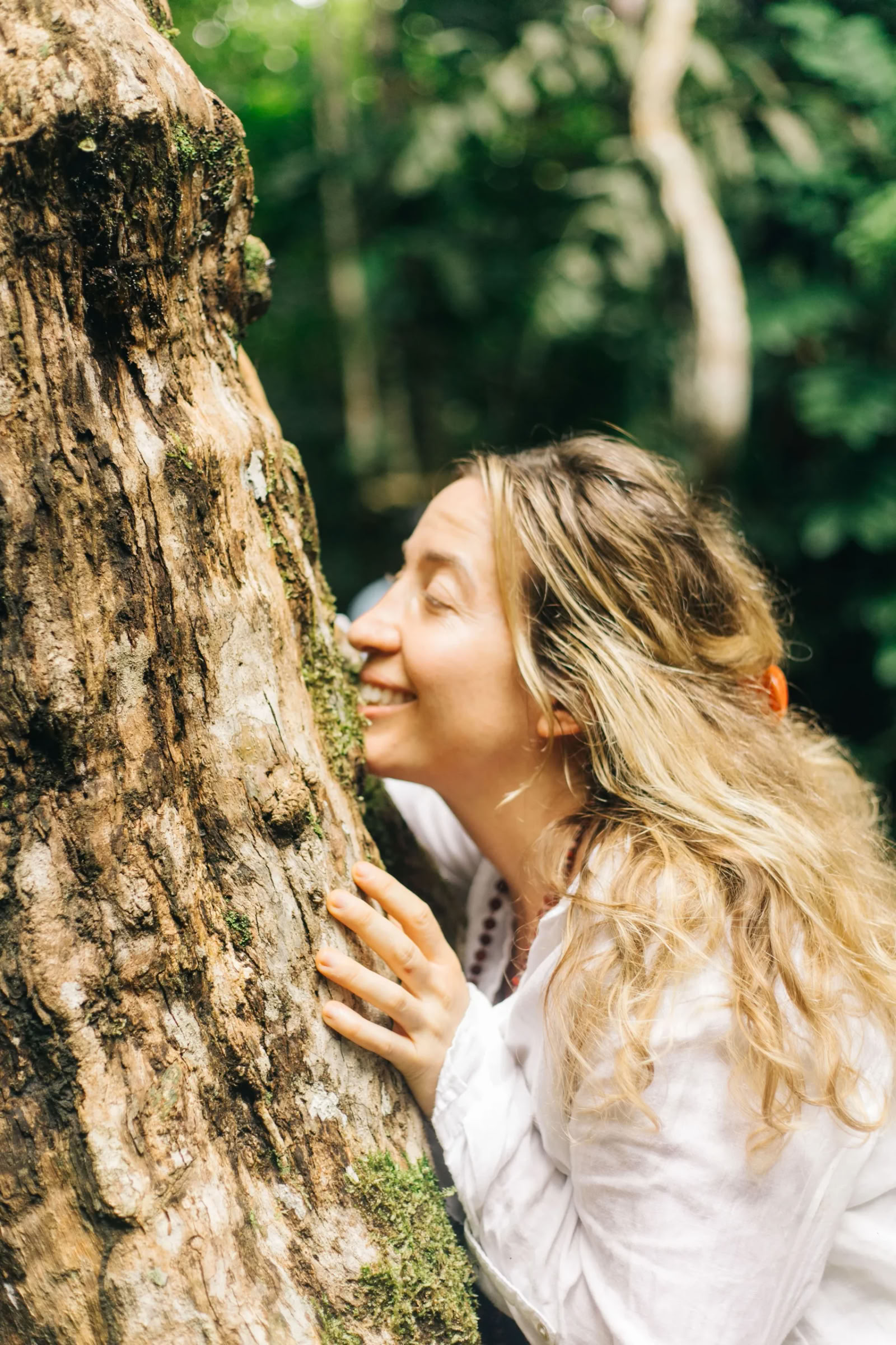 11 días Retiro de Ayahuasca en Perú – 18 - 28 de septiembre de 2026 | Shipibo Healing & Integration