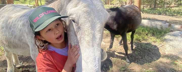 Youth Engaged in Transformational Inquiry : 6-Day Campamento en la naturaleza