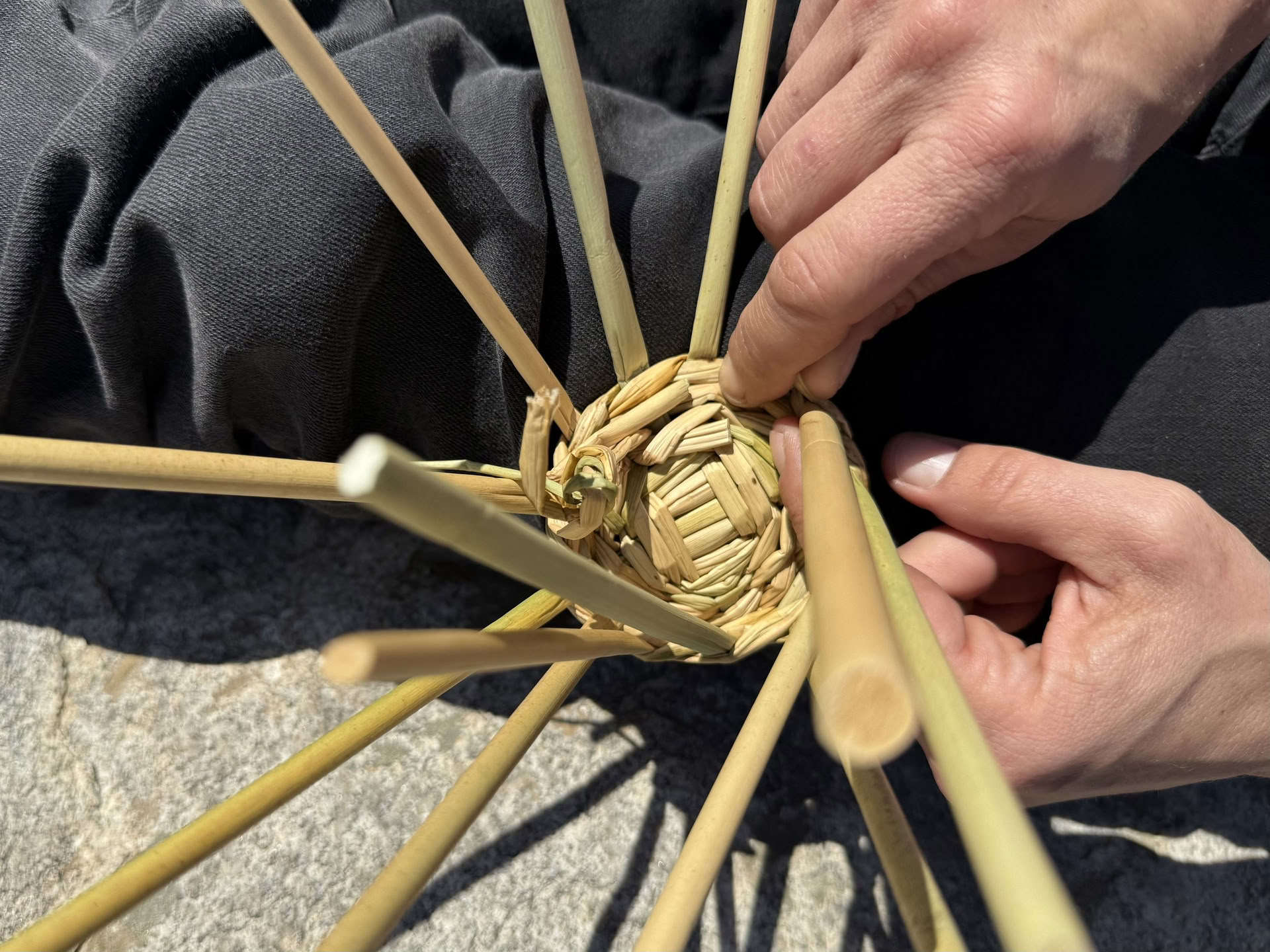 Cestería nativa y formas tradicionales de conocimiento
