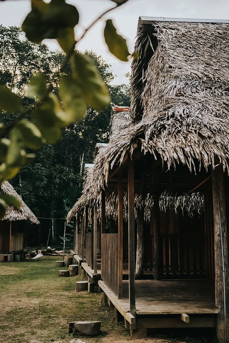 11 Días Retiro de Sanación Kambo en Perú – Desintoxicación Profunda y Renovación Energética