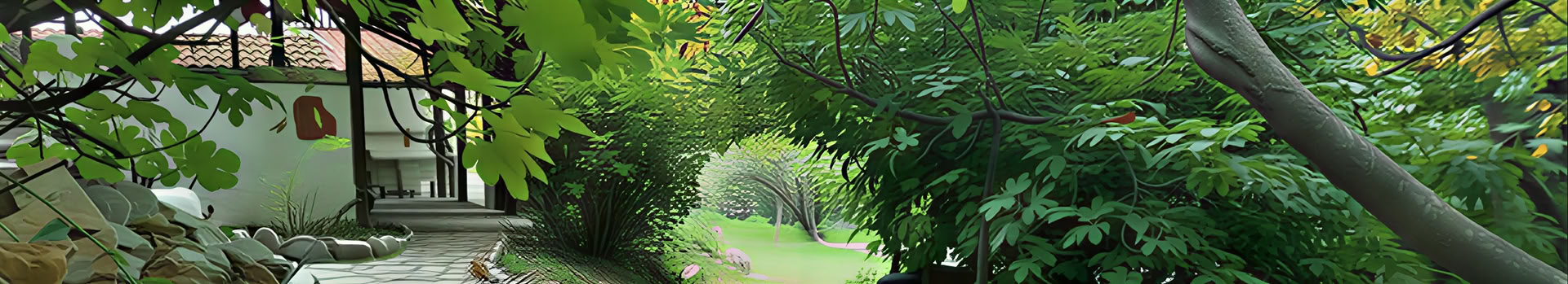 El corazón del consentimiento