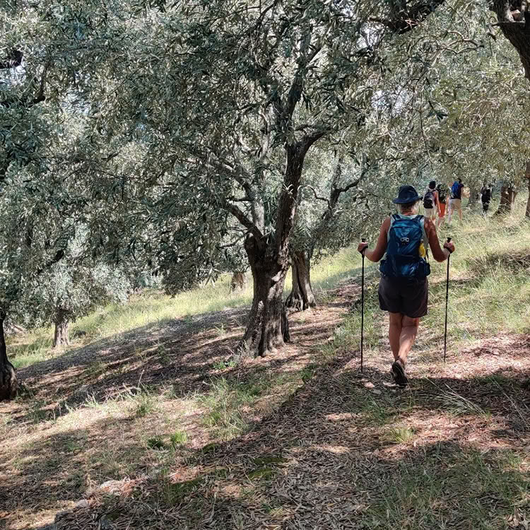 Vacaciones de Caminata y Natación Guiadas