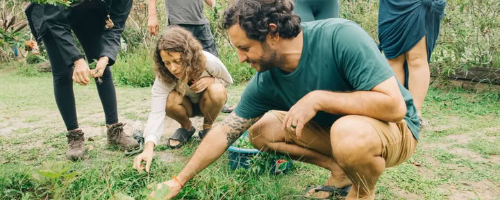 Retiro de Iniciación Chamánica de 26 Días en Perú – 25 de noviembre – 20 de diciembre de 2026 | Maestría en Sanación con Plantas y Integración Espiritual