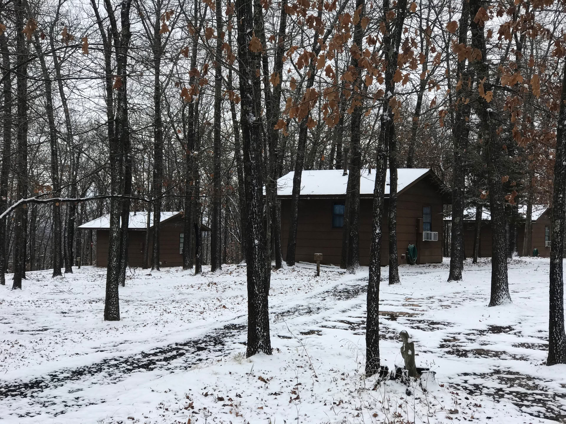 Family Day en el Forest — Forest of Peace