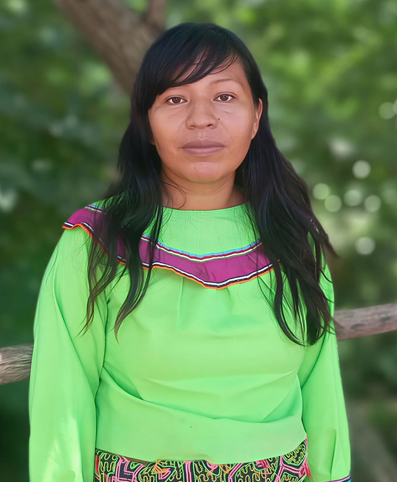 Isa Weni Amazonian School Project