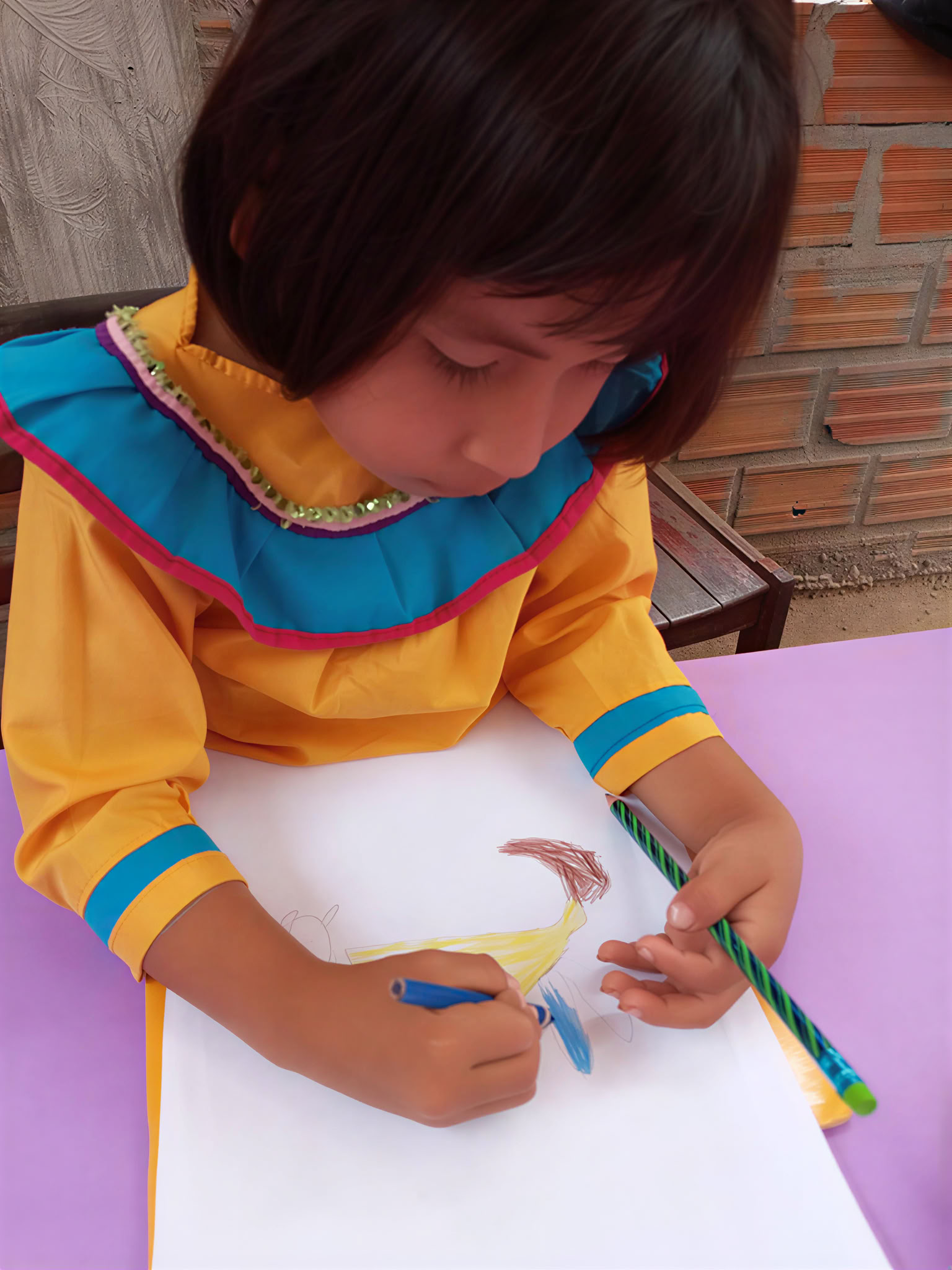 Isa Weni Amazonian School Project