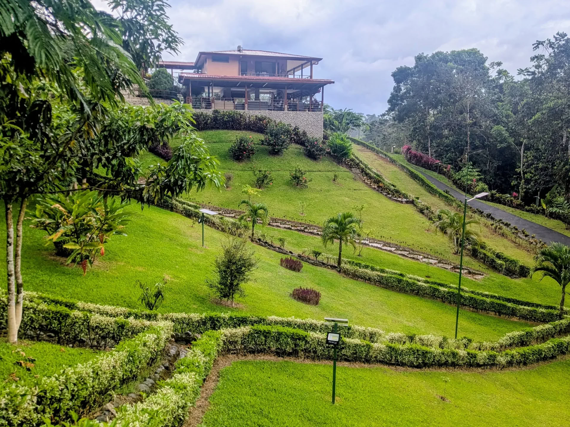 5 Night Retiro de Ayahuasca