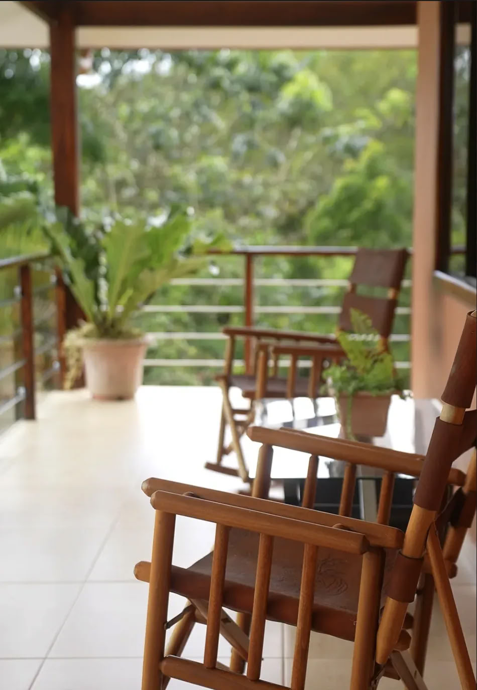 5 Night Retiro de Ayahuasca