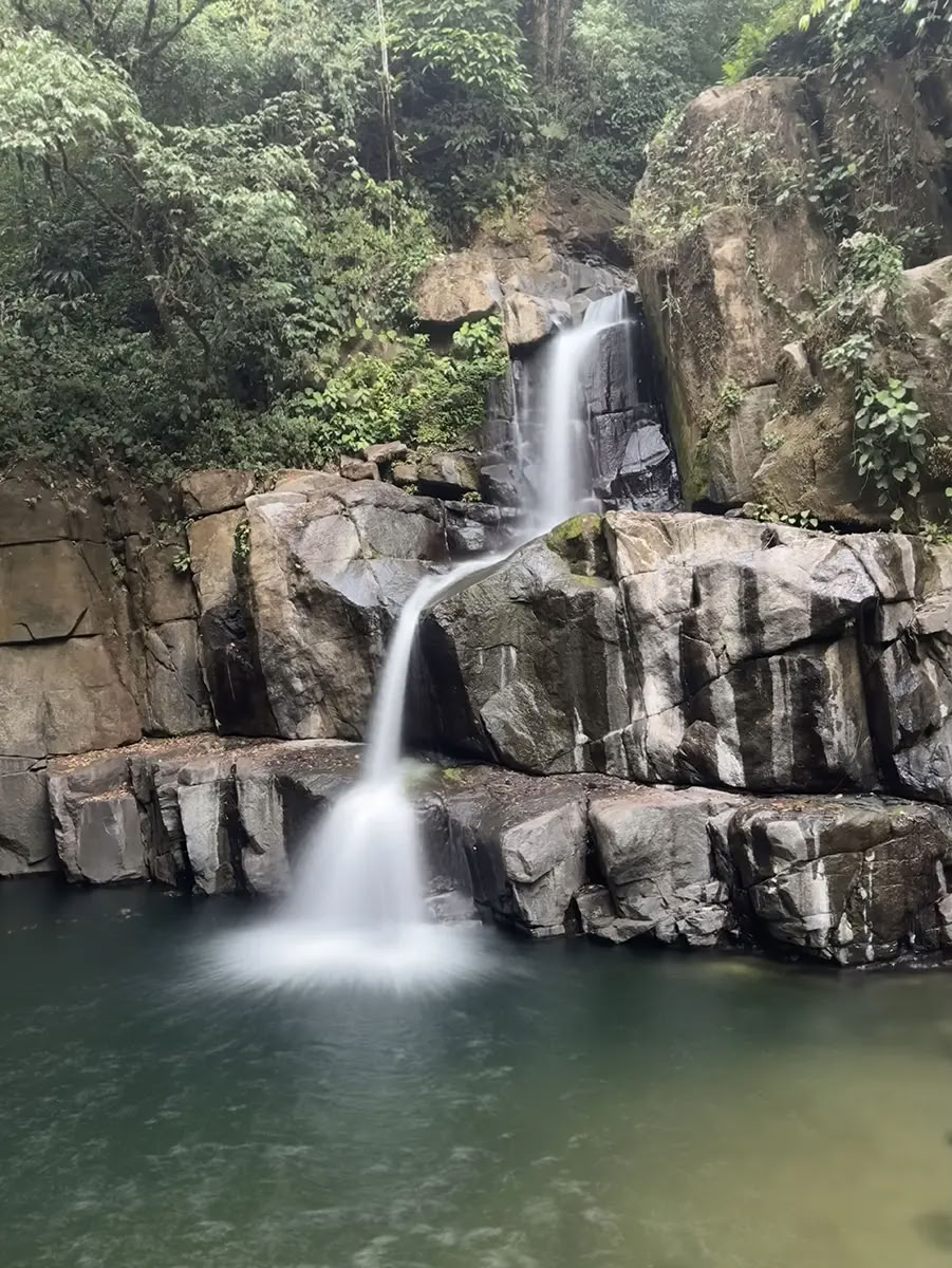 5 Night Retiro de Ayahuasca