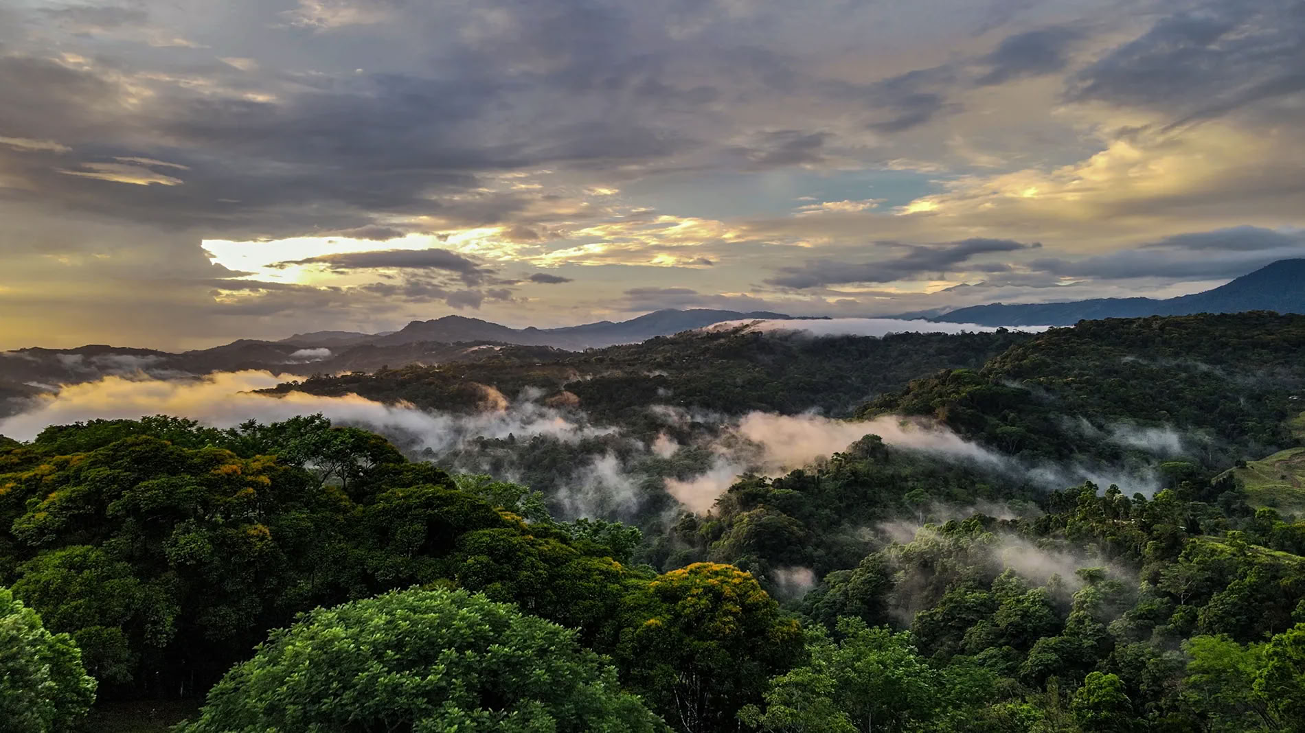 5 Night Retiro de Ayahuasca