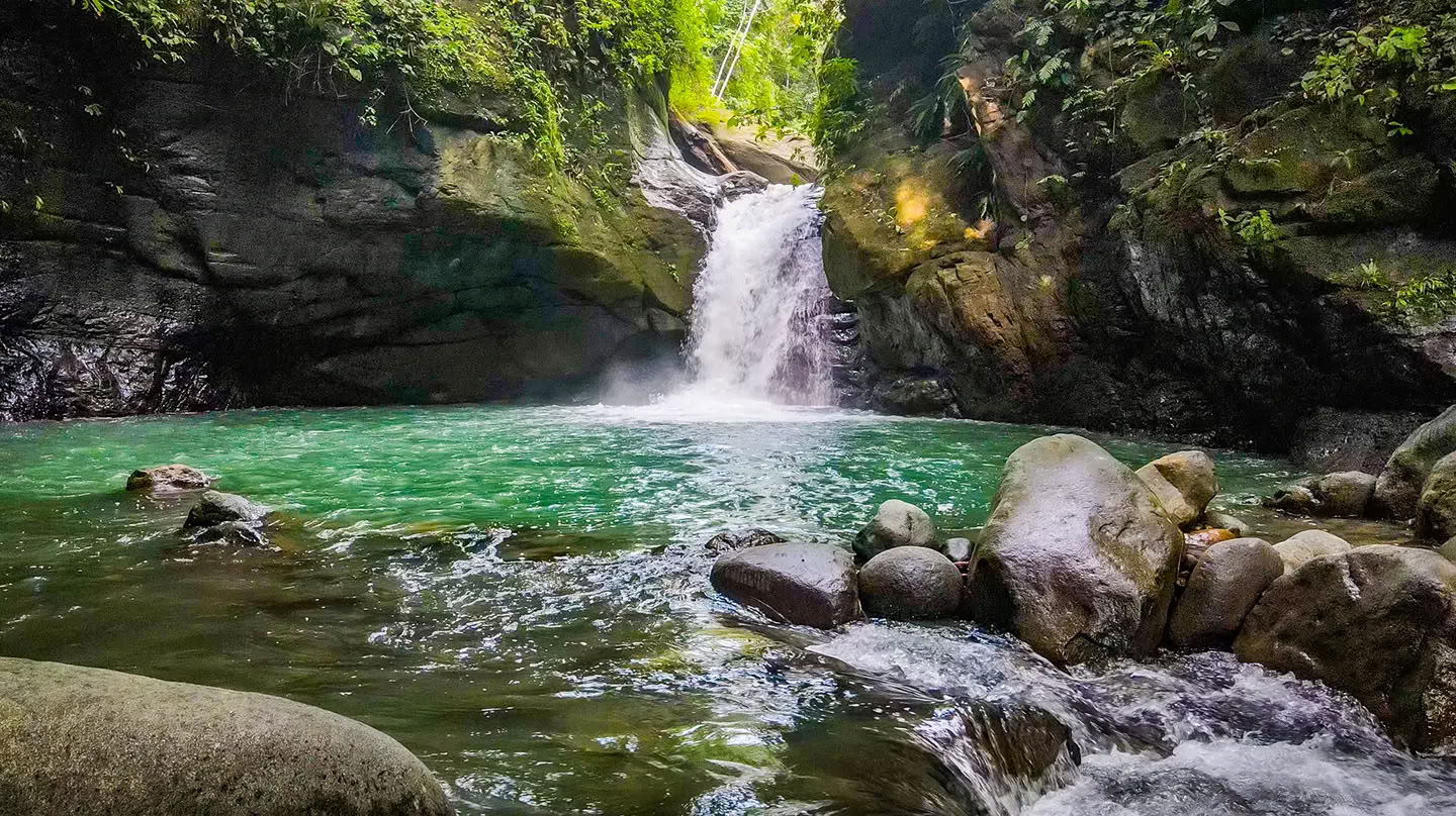 5 Night Retiro de Ayahuasca