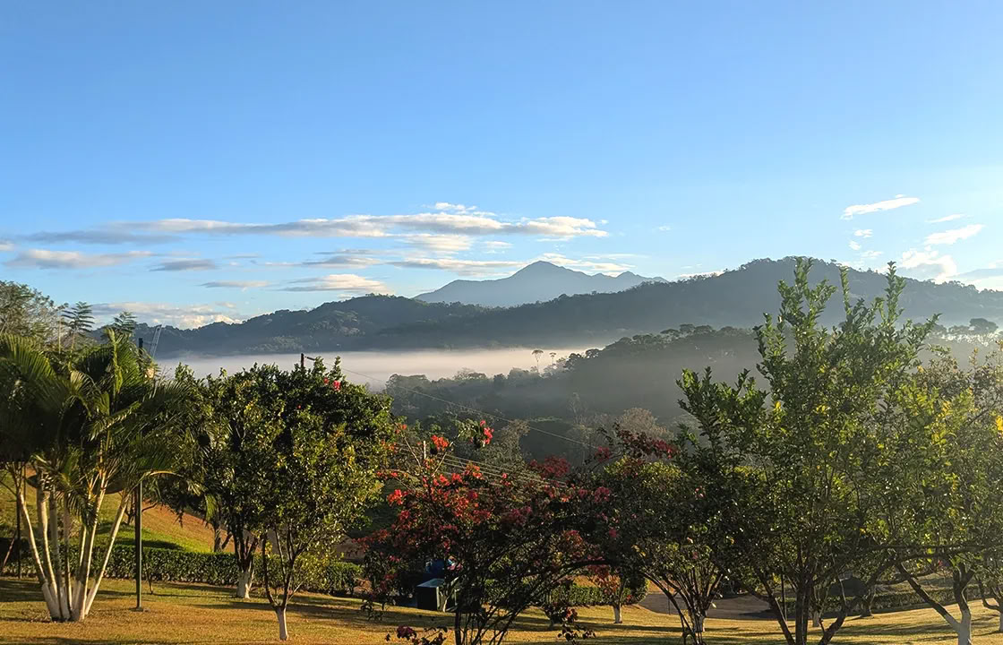 7 Night Retiro de Ayahuasca