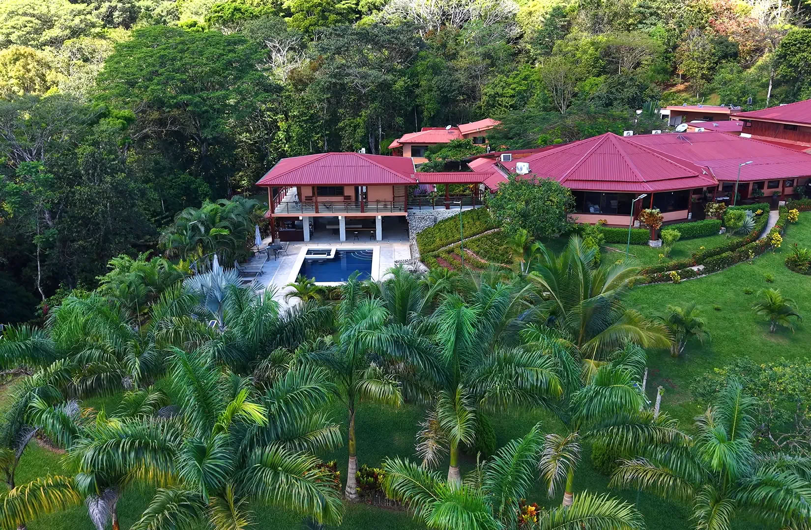 7 Night Retiro de Ayahuasca