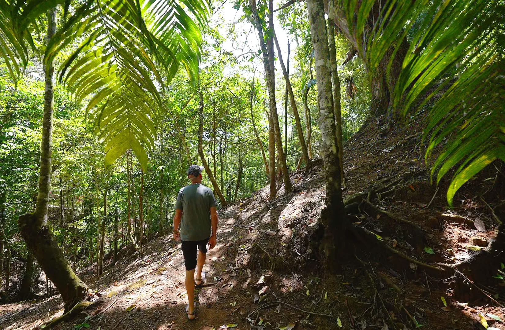 7 Night Retiro de Ayahuasca
