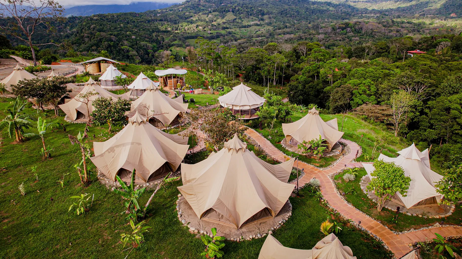 7 Night Retiro de Ayahuasca