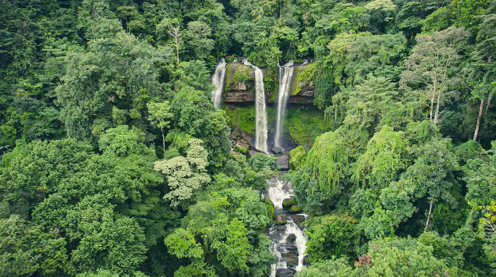 7 Night Retiro de Ayahuasca