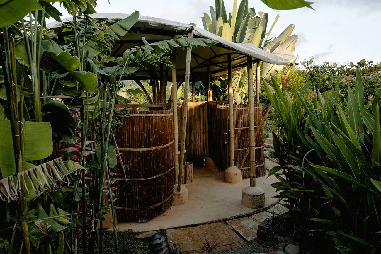 7 Night Retiro de Ayahuasca