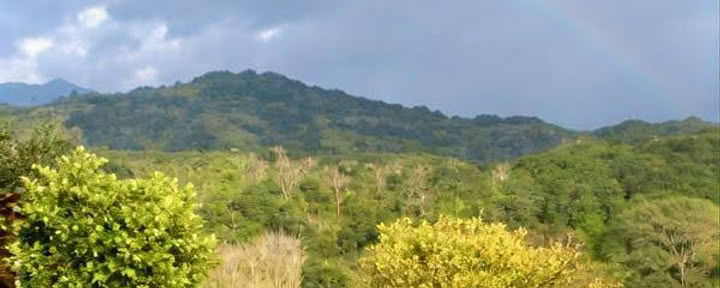 Soltara Emerald Valley | Retiro de Cinco Noches
