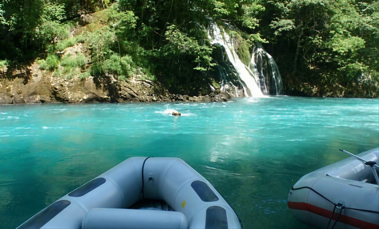 Tara Rafting Tour Privado de Día Completo