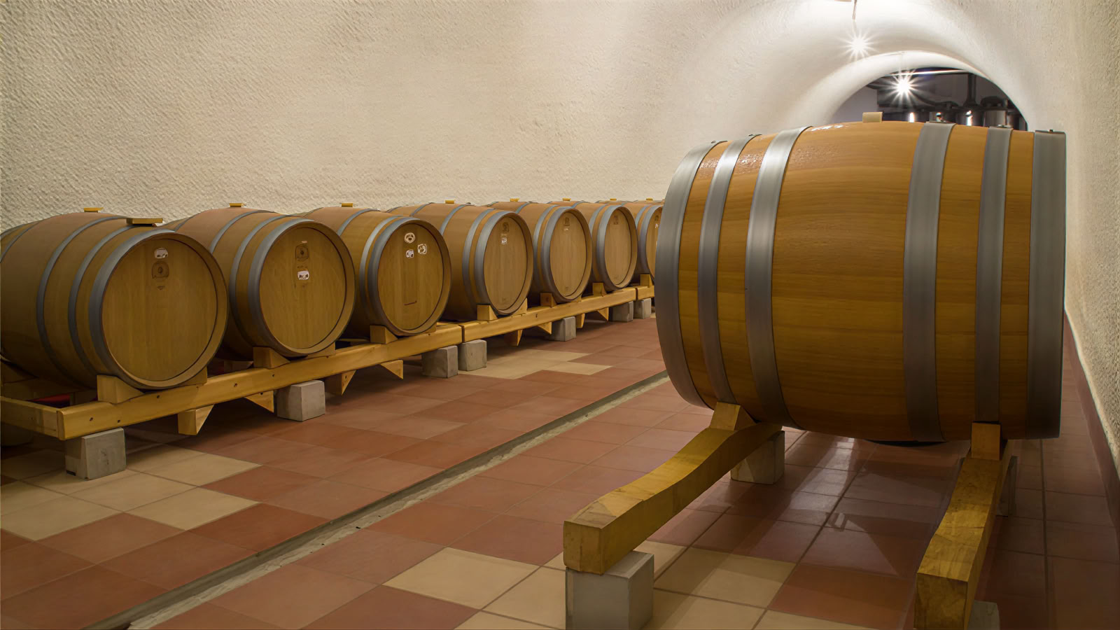 Tour de vino mixto tradicional y moderno