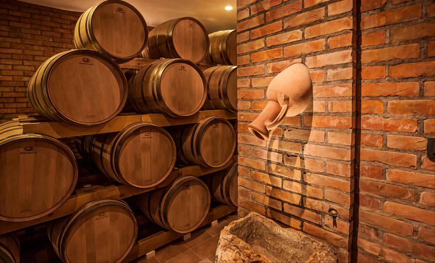 Tour de la Ruta del Vino de Montenegro