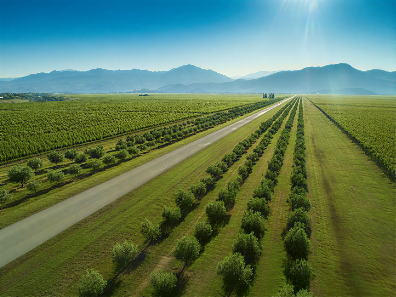 Tour de la Ruta del Vino de Montenegro