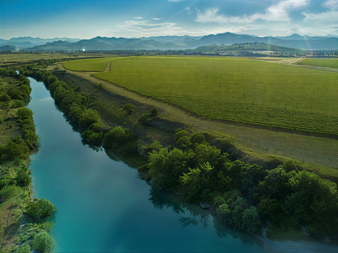 Tour de la Ruta del Vino de Montenegro