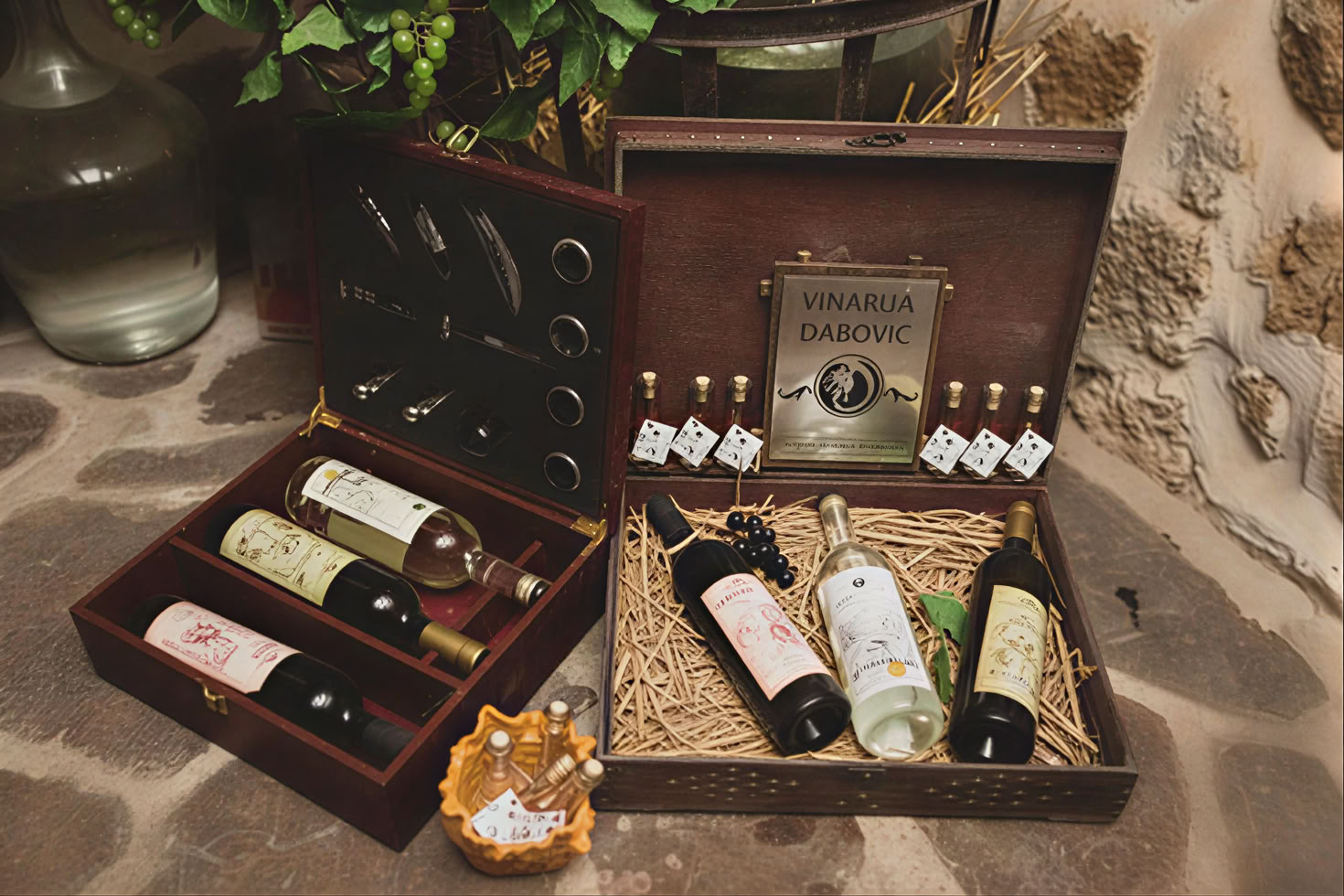 Tour de la Ruta del Vino de Montenegro