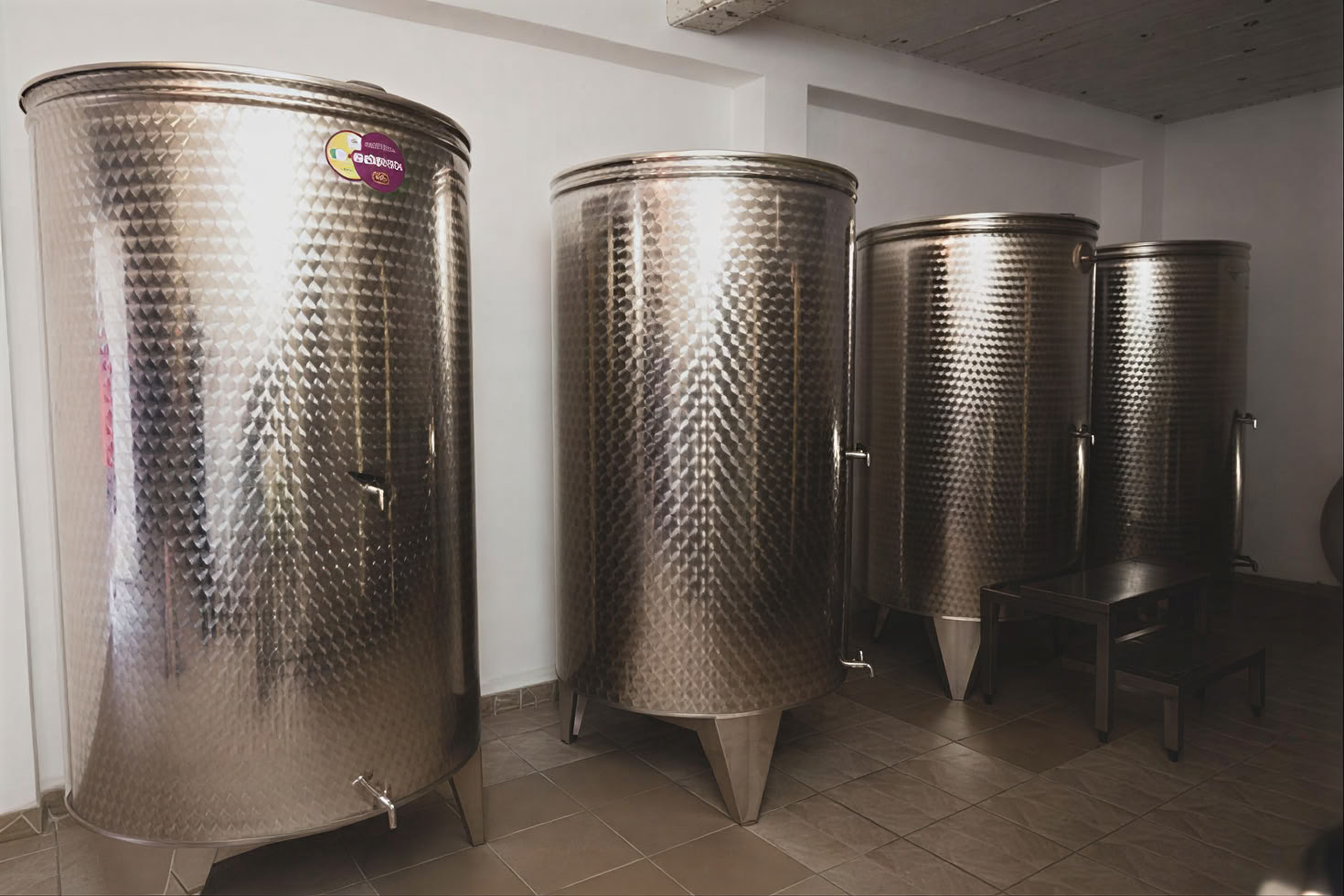 Tour de la Ruta del Vino de Montenegro