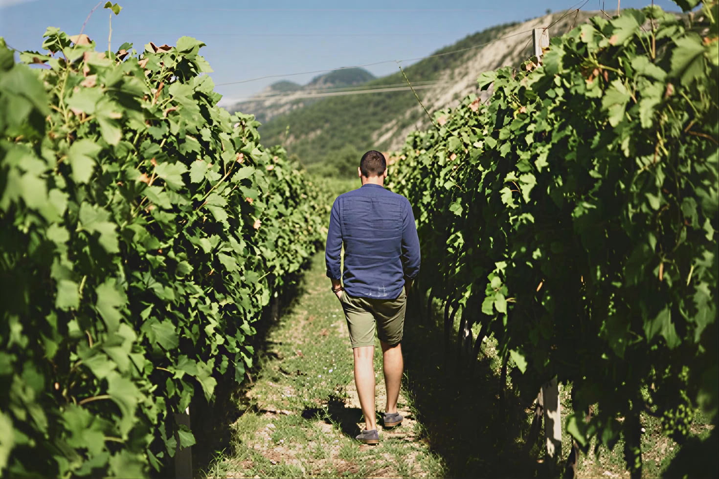 Tour de la Ruta del Vino de Montenegro