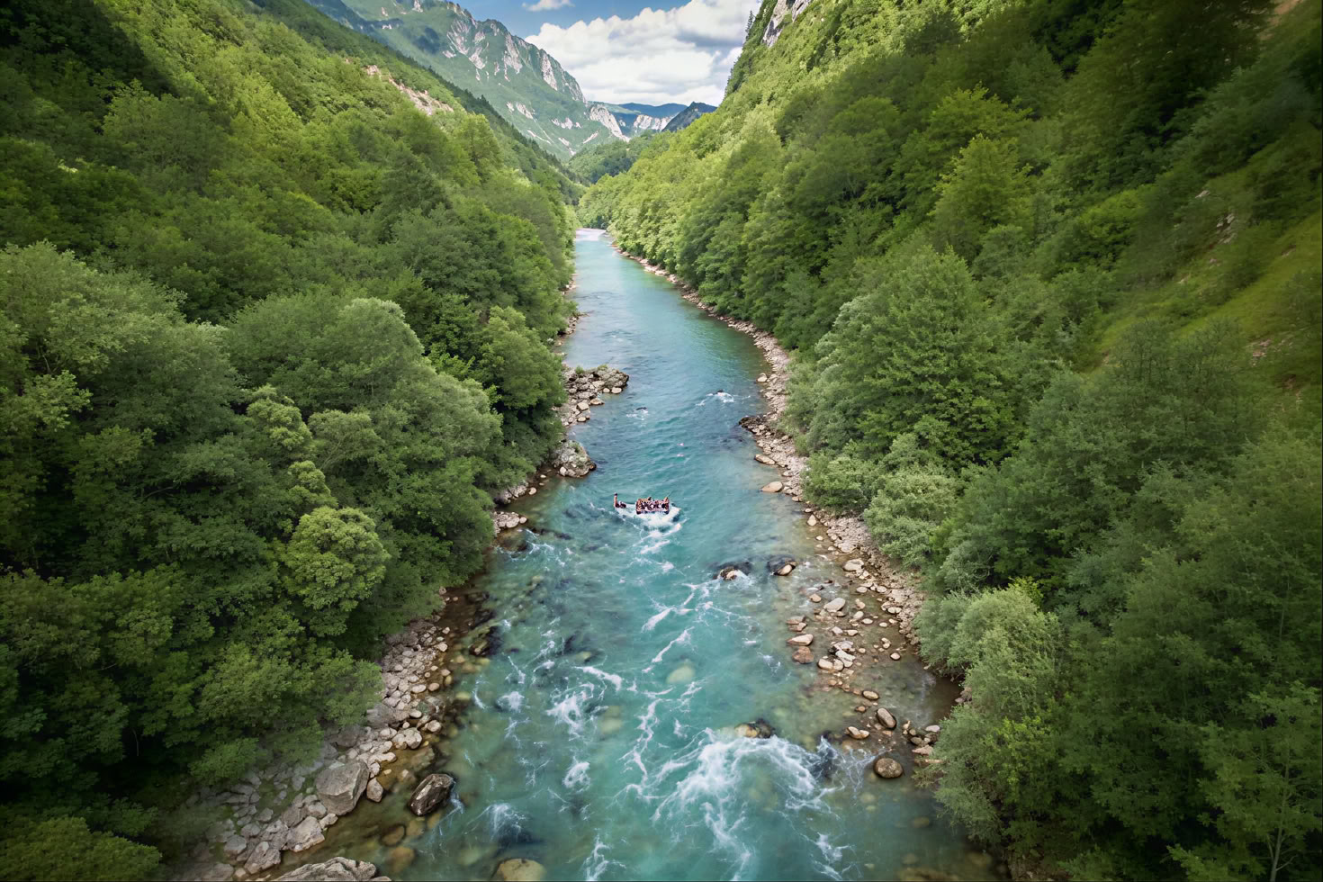 Tour de rafting de dos días de Tara