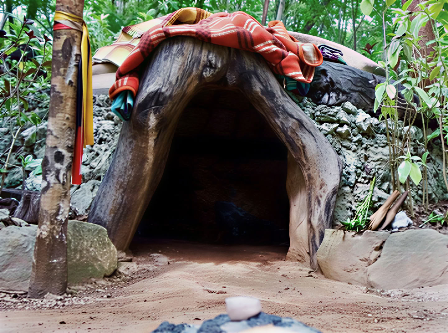 Retiro de Ayahuasca, México
