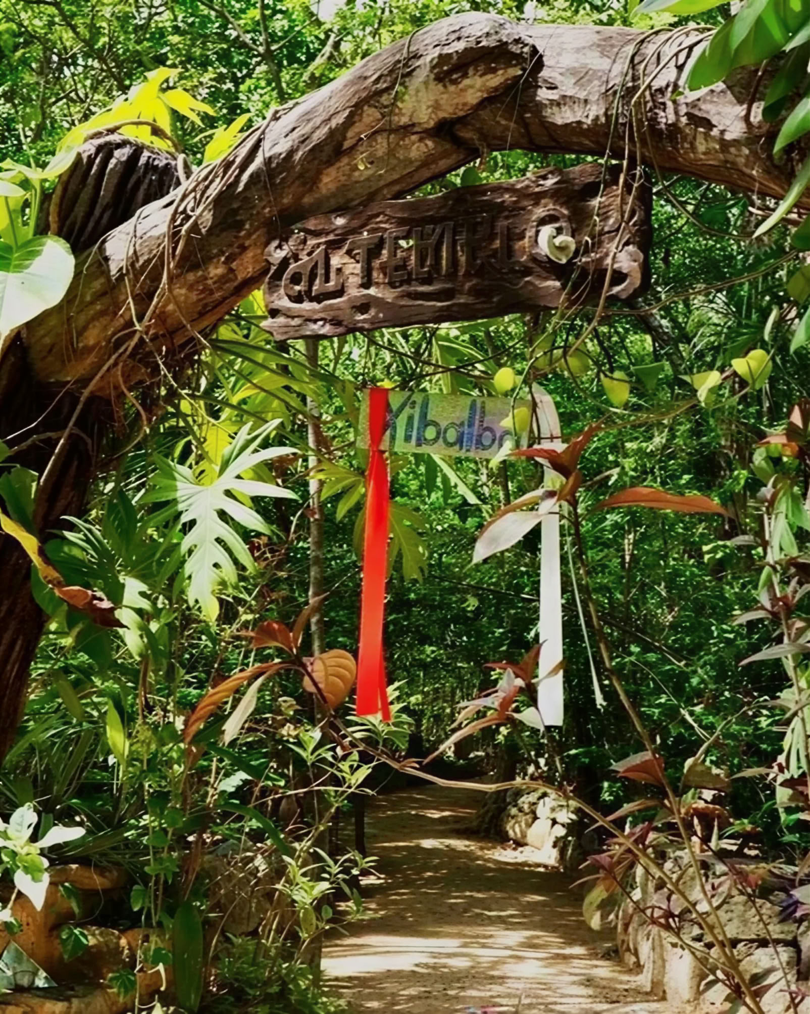 Retiro de Ayahuasca, México
