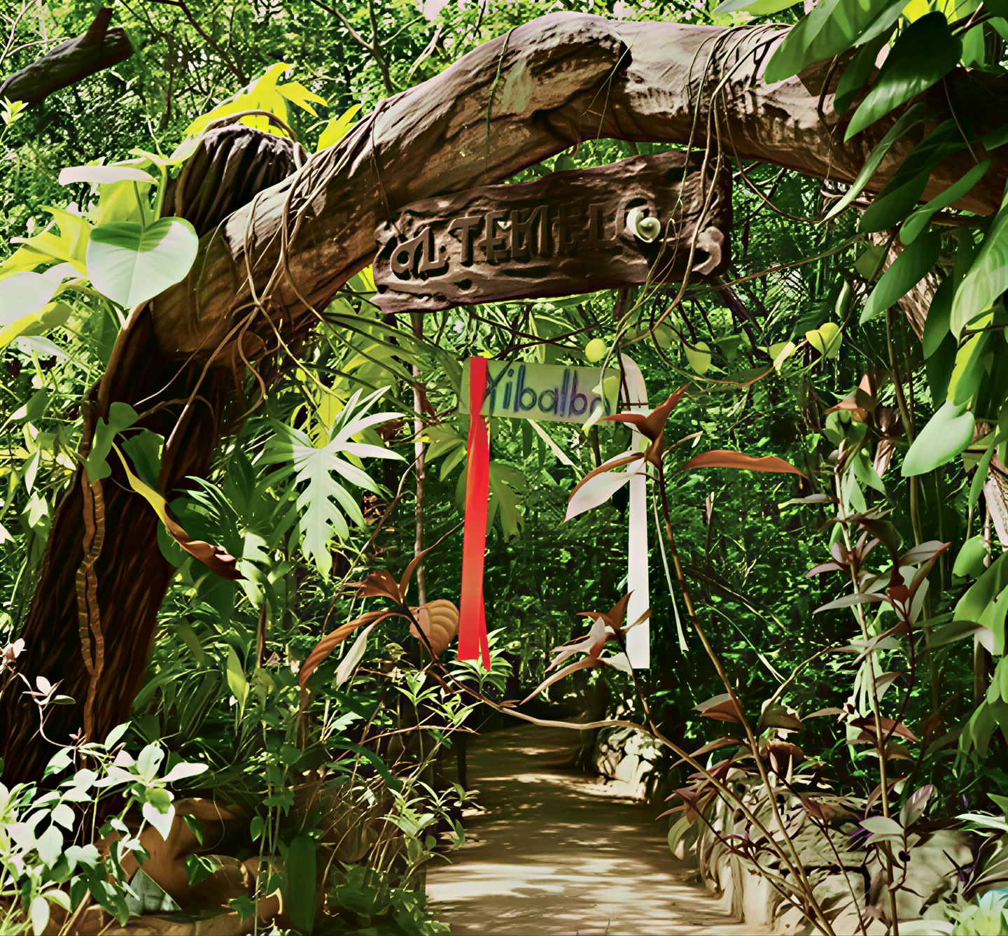 Retiro de Ayahuasca, México