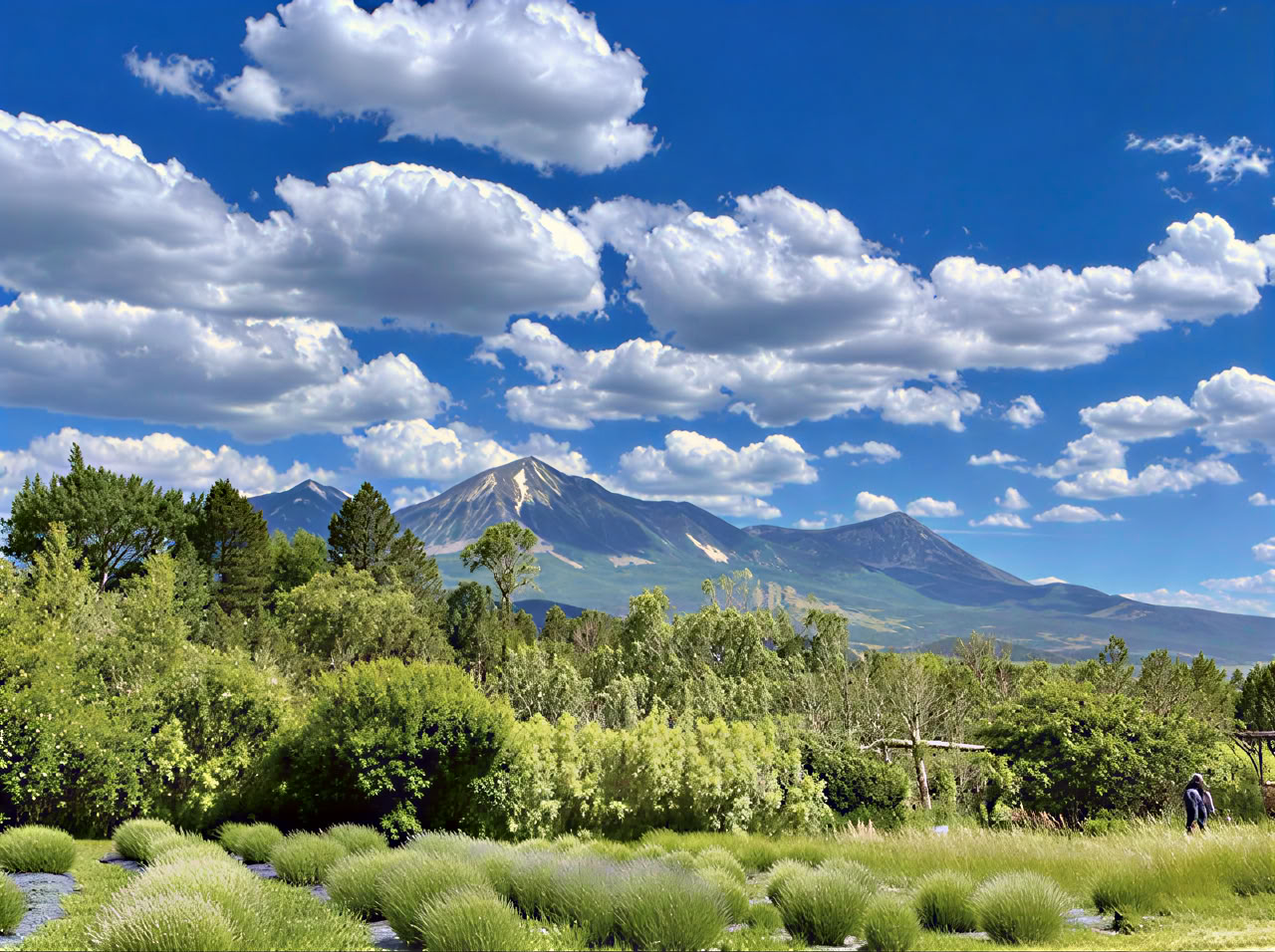 Retiro de Breathwork de Colorado