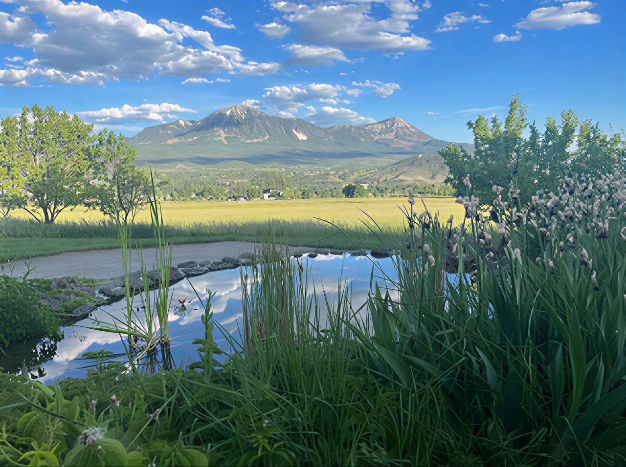 Retiro de Breathwork de Colorado