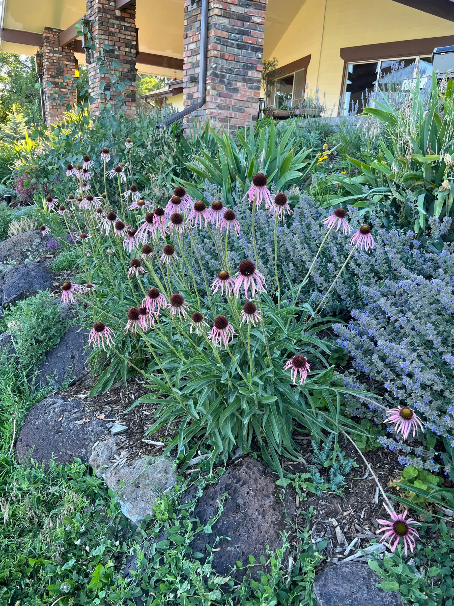 Retiro de Breathwork de Colorado