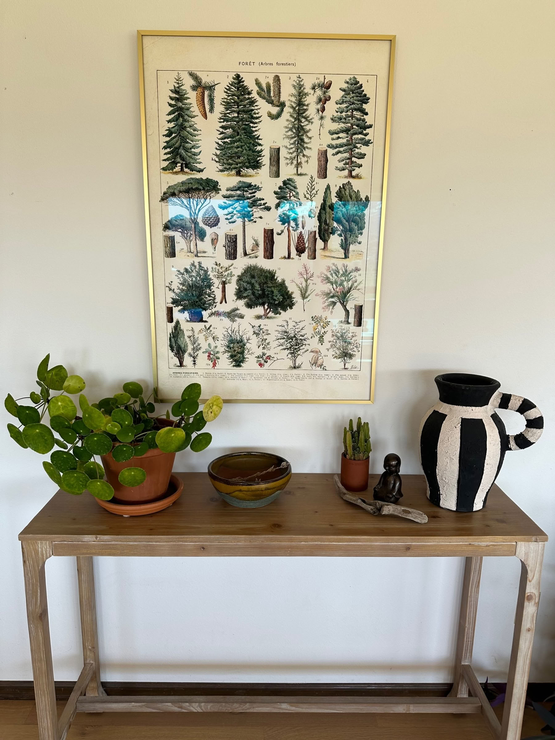 Retiro de Breathwork de Colorado