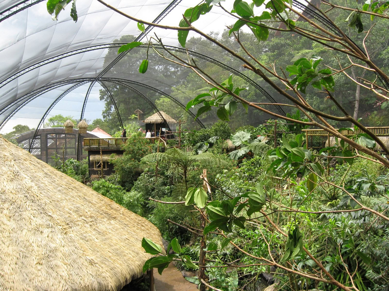 Combo Tour: Parque Nacional Volcán Poás – Tour de Café Doka – Jardines de la Cascada La Paz