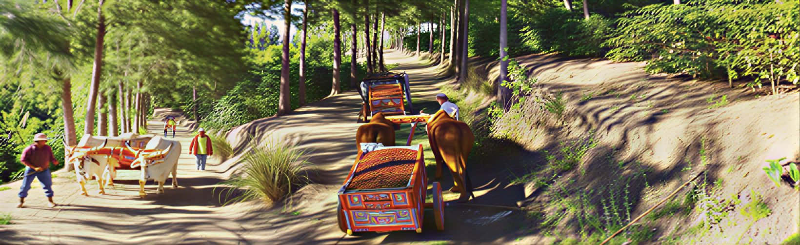 Combo Tour: Parque Nacional Volcán Poás – Tour de Café Doka – Jardines de la Cascada La Paz