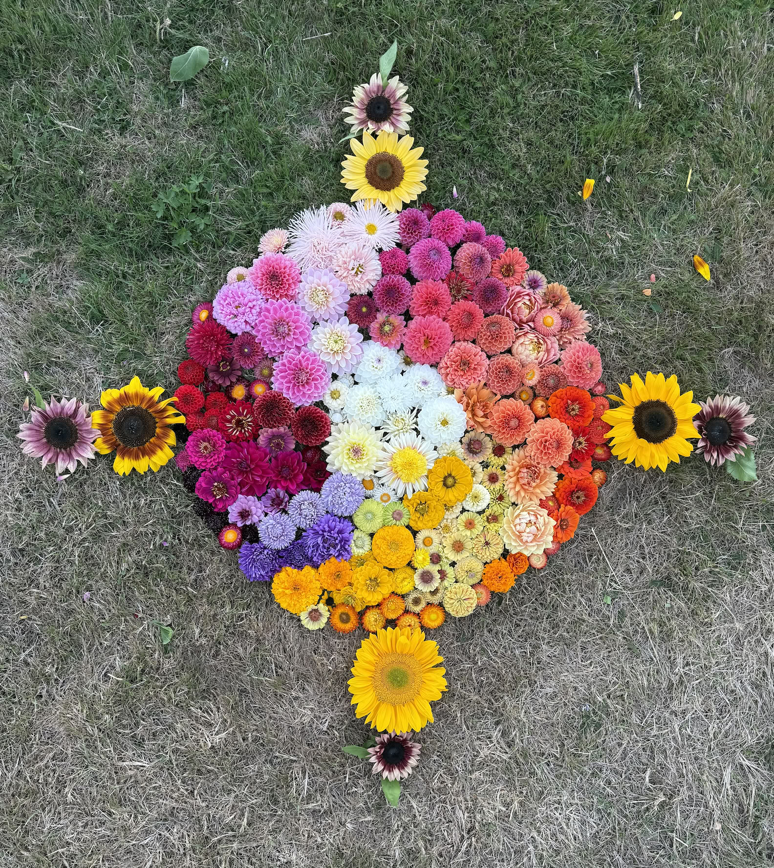 Flowers, Yoga, Horses - Retiro de Verano 2026