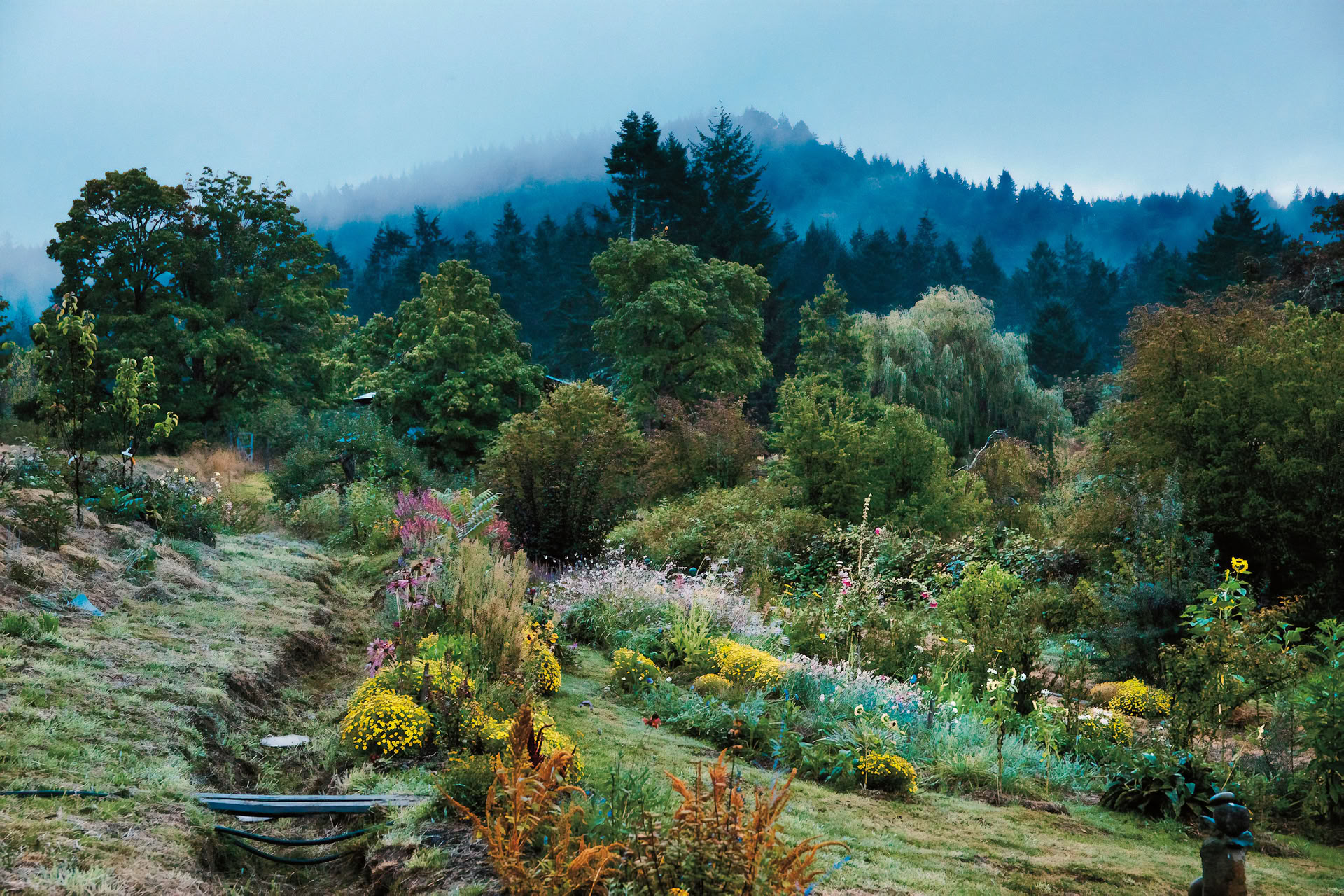 Wolf Willow Cascadia Retiro — Stowel Lake Farm
