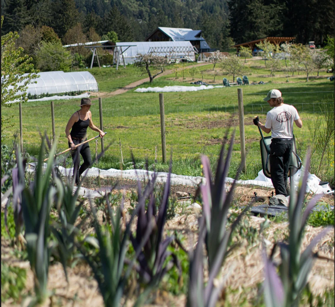 Preparando el jardín para la próxima temporada — Stowel Lake Farm